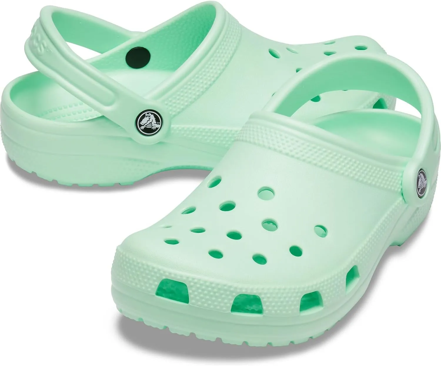 Crocs Unisex Adult Classic Clog